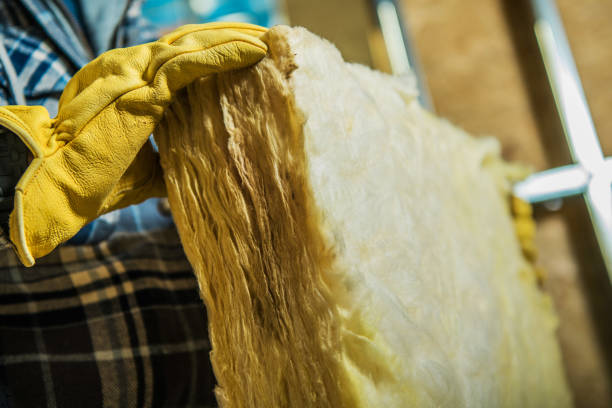 Best Specialized Insulation Services in Knightstown, IN